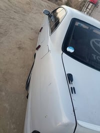 كراون بطه • ١٩٩١ • ديوانيه