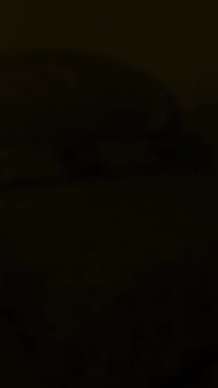 فرشة جرباية • نفرين • همايون ديجتال إماراتي