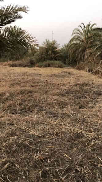 قطعه ارض ملك صرف ٥٢٩ متر 

السلام عليكم قطعه ارض طابو ملك صرف للبيع المساحه ٥٢٩ متر مربع واجهه ٢٣ متر ونزال ٢٣ متر

العنوان / ابي الخصيب - الحمزه الفوك 

للأستفسار  ***********
