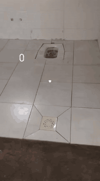 المتر ب6 خلفه سيراميك كاشي مرمر كرانيت سلمك شغل مرتب متفرغ حاليا *********** 🌹❤
