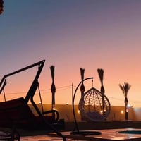 مزرعة كالبتوس ترحب بكم ٠٧٧٧٧٦٦٦٢٤٤