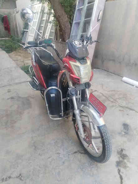 دراجة للبيع موديل 24 بطاريات نص عمر كهربيات شقالة سعر 300 بيهة مجال ***********
