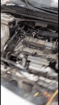 عروضنة مستمرة ،، هذا فديو خاص تديل وشر قبق ولفت مع التروسة. نظفت المكي...