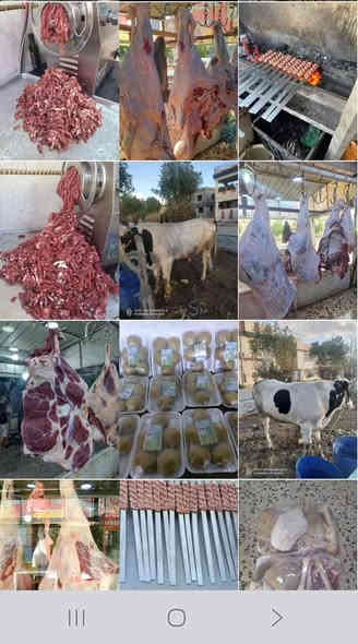 تعلن قصابة ابو تراب عن توصيل الطلبات مجاني لكافة مناطق الكوت
على بركة الله تعالى
بسم الله الرحمن الرحيم
قصابة ابو تراب الان
بعون الله تعالى وتبارك تم تجهيز قصابة ابو تراب بلحم عجل عراقي ولحم غنم عراقي ومن الله التوفيق
تموز مقابل جامع ابو تراب
قصابة ابو تراب
***********
***********
***********
توجد خدمة تةصيل
اهلآ وسهلآ بالزائرين الكرام
ولكم جزيل الشكر والتقدير
