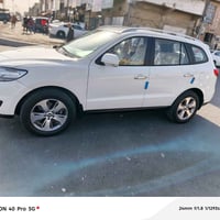 سنتافيا • ٢٠١٢ • مكفولات