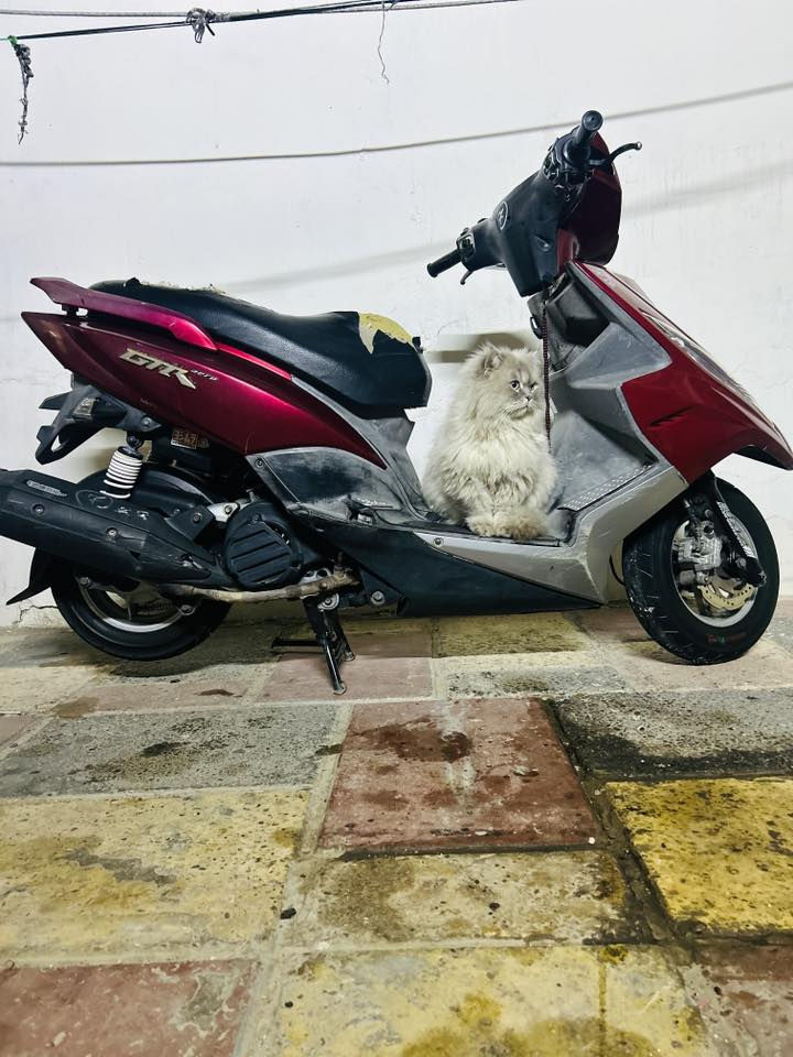 جيتي ار للبيع مكاني الشعلة الرقم ***********
