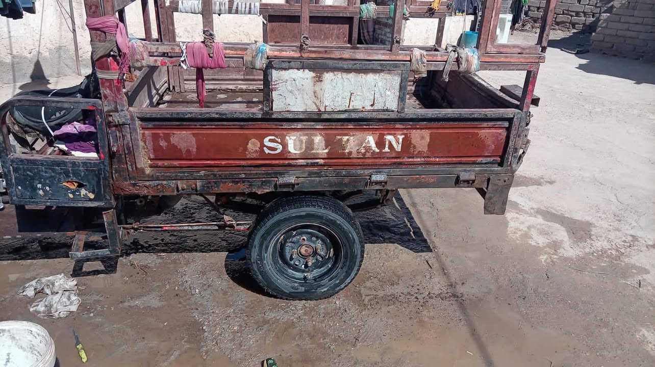 ستوته سلطانيه وراق قضاء القرنه سعر650وبيه مجال الطيبين رقم وتساب ***********
