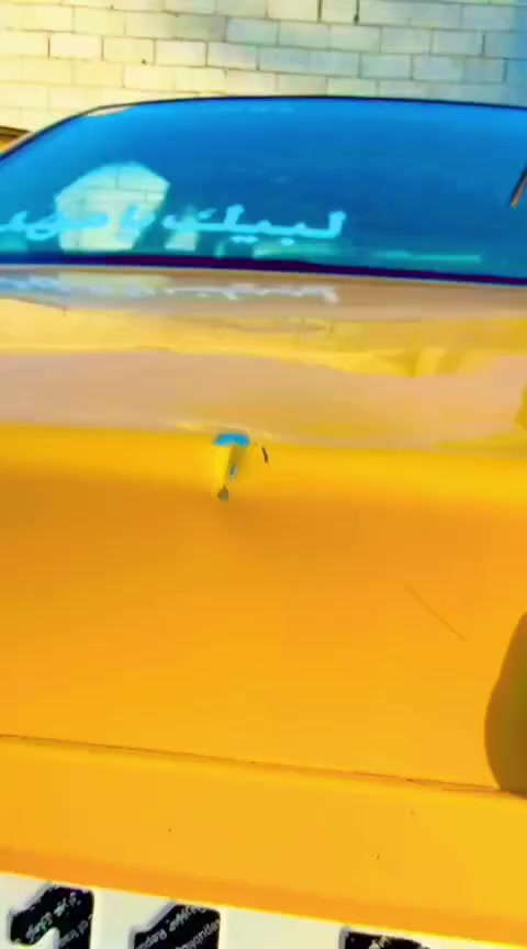 السلام عليكم سمد موديل 11تحويل مباشر السعر ٢٨مراوس حسب قناعه العنوان سماوه رقم  الهاتف ***********
