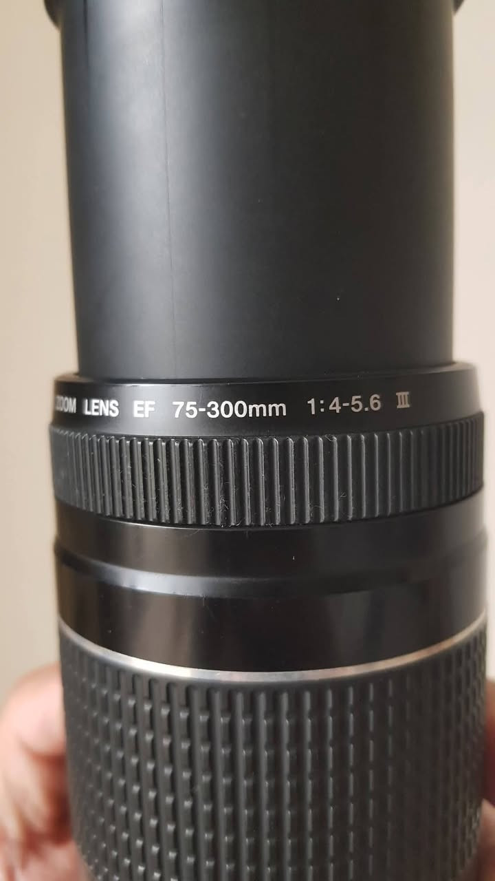 للبيع عدسة زوم Canon 75-300mm EF
تركب على كل كامرات كانون
بيهه عزل كلش قوي وياهه هود 
زوم بعيد للتصوير الرياضي والطيور والأشخاص 
نظيفة جدا استعمال يومين فقط والفوكس شغال 100% 
العنوان بغداد يوجد توصيل لجميع المحافظات 
السعر جدآ مناسب 

واتساب ***********
