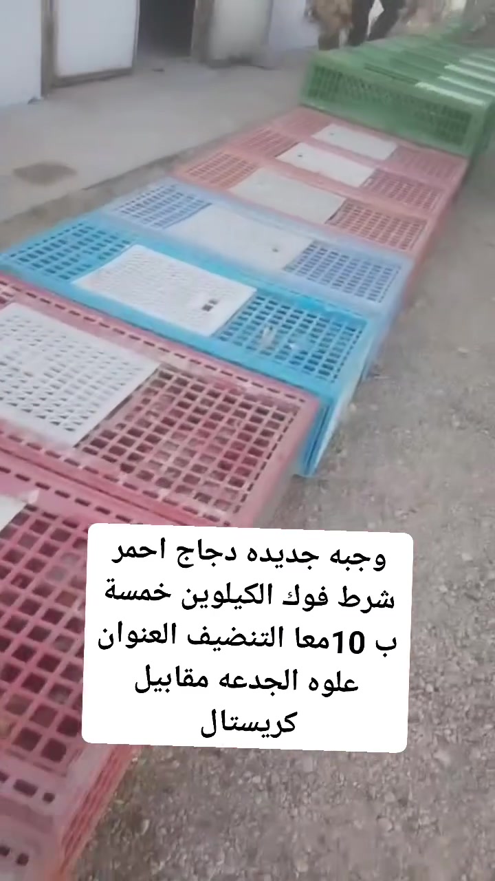 اخوان صار خطأ بل نشر باجر 5ب10معا التنضيف العنوان علوه الجدعه مقابيل كريستال مول


**إذا كنت صاحب هذا الإعلان وتريد حذفه لأي سبب، رجاءا أرسل رسالة إلى الدعم الفني**