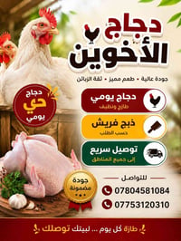 دجاج المجتبى • ذبح يومي • كركوك