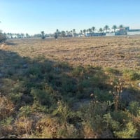 التاجي شمال بغداد • ٦دونم • ماء وكهرباء