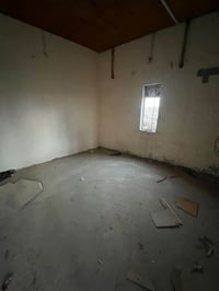 بستان • نخل وزيتون • ورى جامعه ذي قار