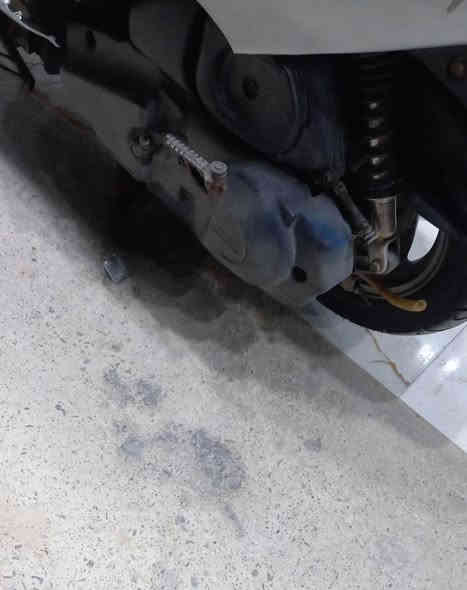 السلام عليكم خوية دراجة فراشة فحل للبيع دراجة كفالة عامة مابيها اي شي كهربائيات محرك كلها جاهزة بس شغل واطلع شلعة معدل خير من الله تاكل الشارع نكرة سلف محرك مكفول برغي مامفتوح بي ابد دراجه على وضع البلاد مختمة من الطول للطول نقصها بس قفل الجنطة دراجه ماخذها حاوية محد صاعدها قبلي باللة العظيم ( سعرها 675 وبيها مجال بسيط للشراي فقط) مكاني البصرة الزبير. ولو مامحتاج فلوس والله مابيع ولشراي بي خير ويدلل. هذه رقمي *********** وراسلني على صفحتي هاي اذا تريد.
