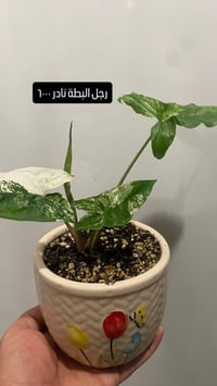 توصيل • توصيل مجاني • اكثر من ٣ طلبيات