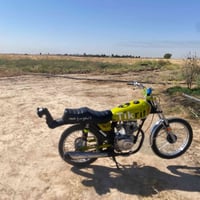 رابيدو • ٢٠٢٥ • نشاط فول