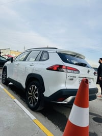 هايلاندر هايبرد • ٢٠٢٥ • مرقمة بغداد