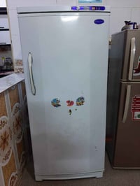 مجمدة عمودية • كونكورد • النجف