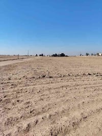 حي الزيتون • دونم • ماء وكهرباء