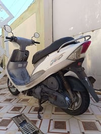 ماكس منغولي • أبيض • صارله ١٠ أيام