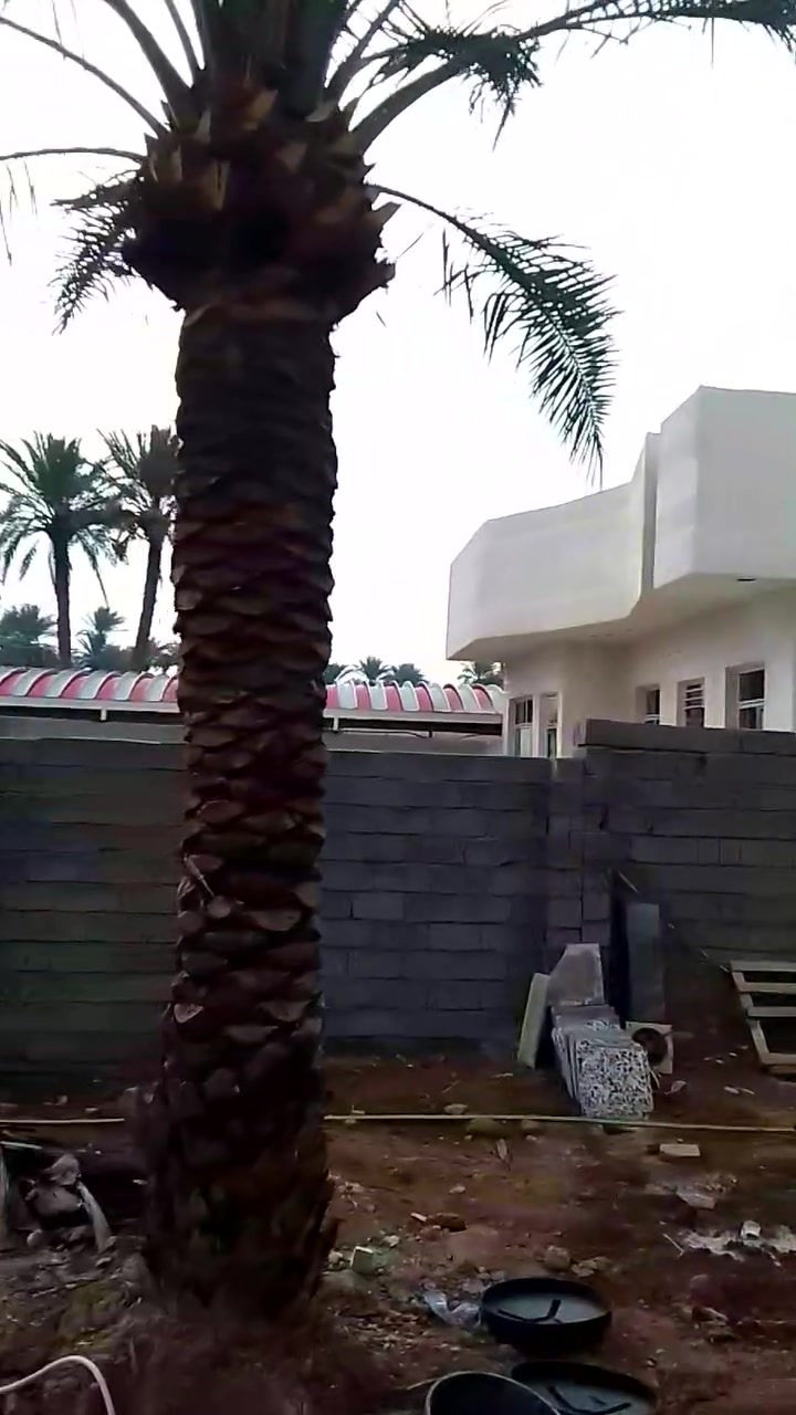 سلام عليكم ورحمة شغل نضيف صطار بياض كادر خابر دلال ***********
