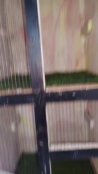 قفص ١٢ خانه • الفلوجه السكنية • ماسنجر