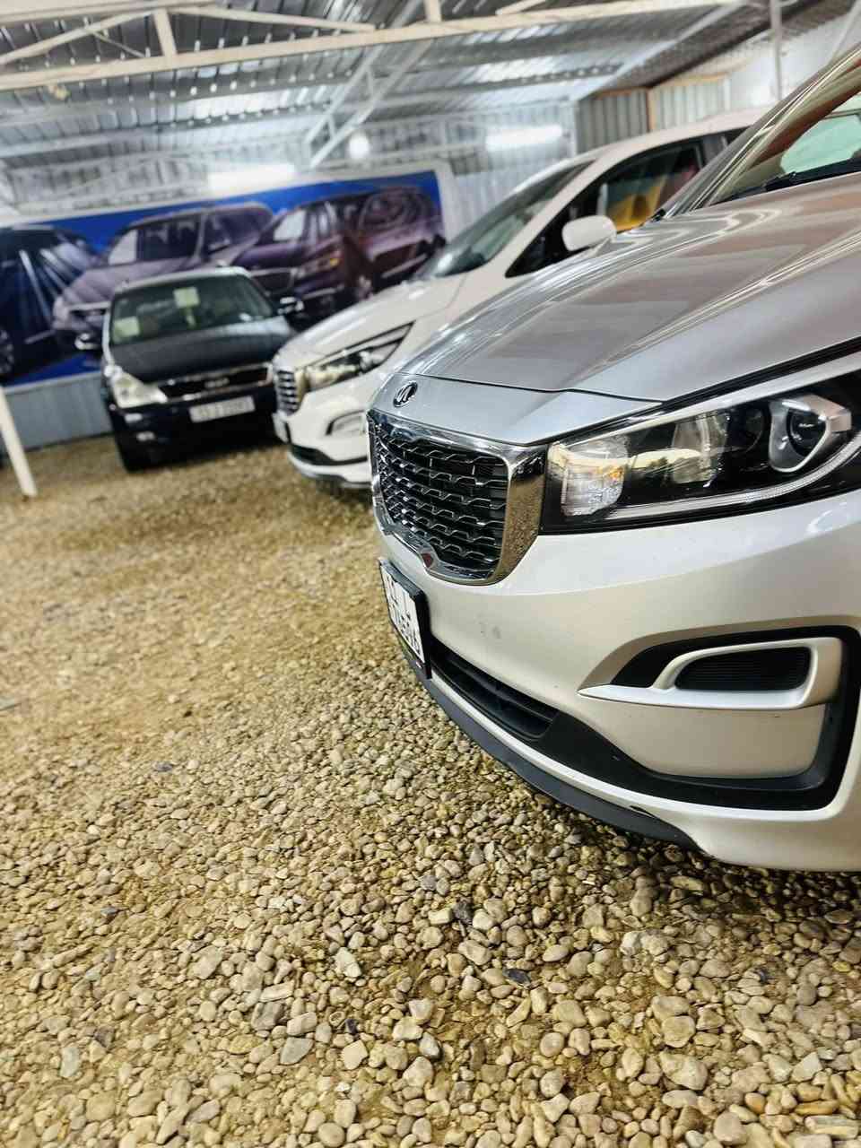معرض السعيدي البيع المروس 
موقع بابل الشوملي 
سيدونا موديل 2019 جديد ماشيه 60 الف 
سيدونا موديل 2020فول ماشيه 55الف 
سيدونا موديل 2017ماشيه 80 الف 
اتصال ***********
