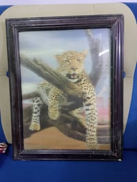 لوحات طبيعيه • العنوان بالخاص