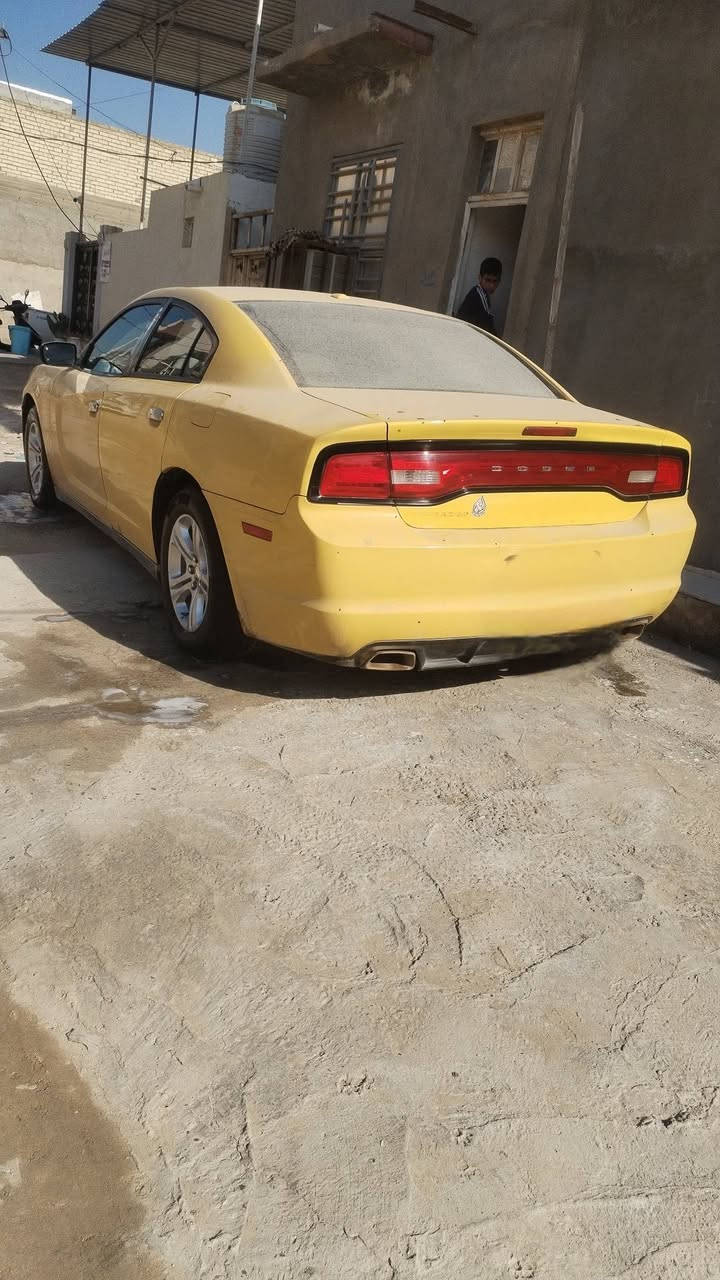 للبيع
السعر ١٢٠
بيه فخذه
***********
رقم بابل
