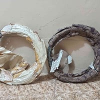 السيامه • جديد • بالكرتون