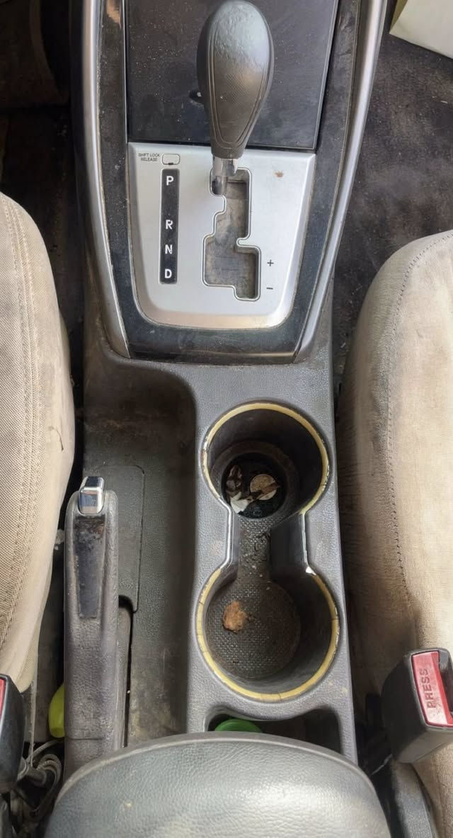 السلام عليكم اخوان 
تم العمل على سيارة النترا حمام ناشف تفصيلي بأدق التفاصيل و بوليش احترافي للبدي بمواد المانية 
للحجز والاستفسار راسلني خاص 
***********
مكاني بغداد

( حمامكو المنصوري للعناية بالسيارات )
