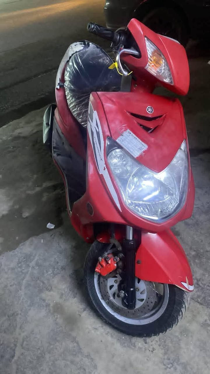 سلام عليكم شباب عندي فحل ناشفه صاره ١٠ ايام من نازله رمبه دراجه وكاله نوزل دراجه بيع او مراوس مكاني بغداد شعب ***********
