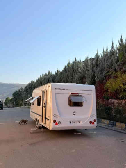 *********** شقلاوة
