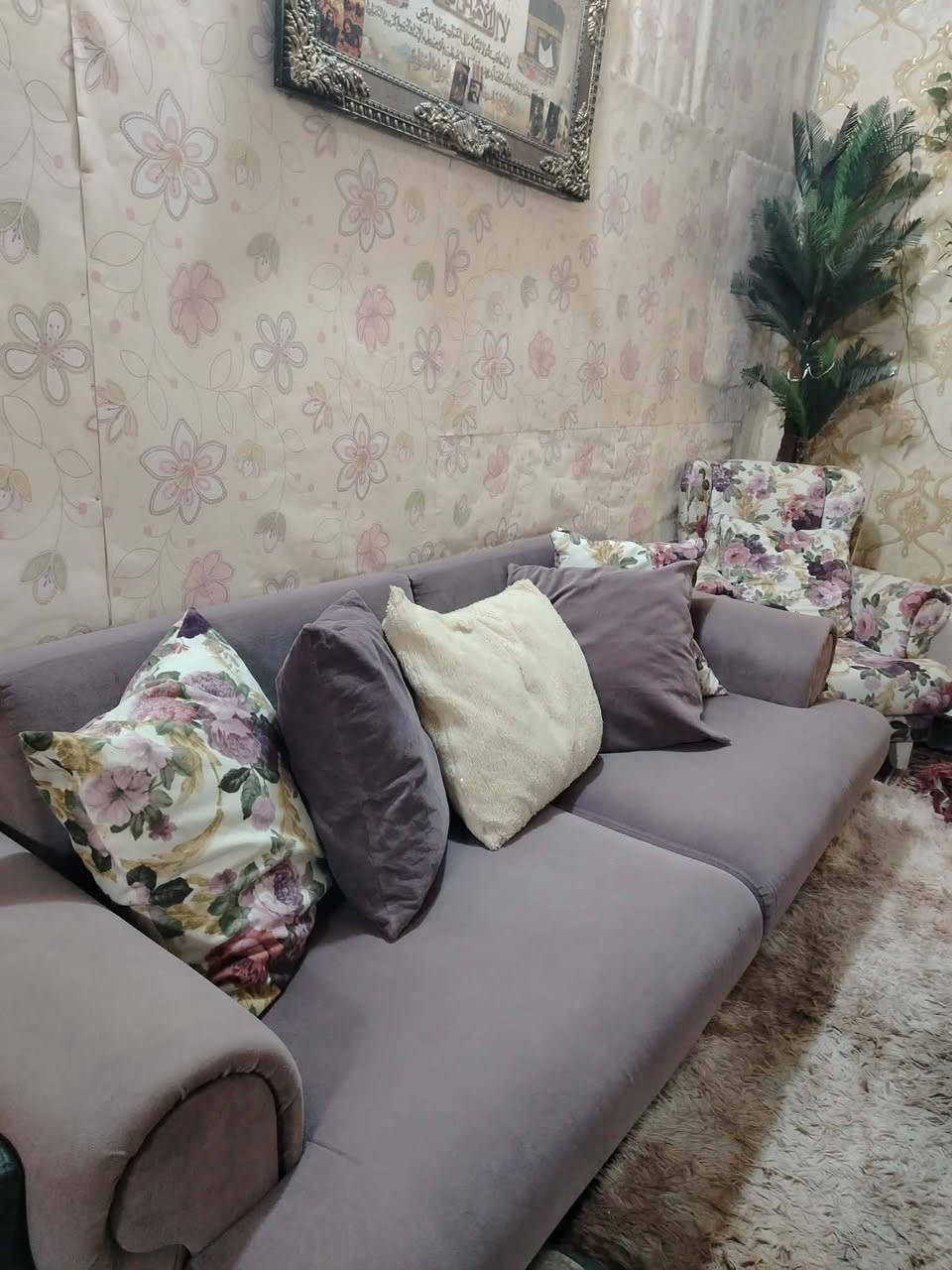 تخم اخو الجديد 400وبي مجال


**إذا كنت صاحب هذا الإعلان وتريد حذفه لأي سبب، رجاءا أرسل رسالة إلى الدعم الفني**