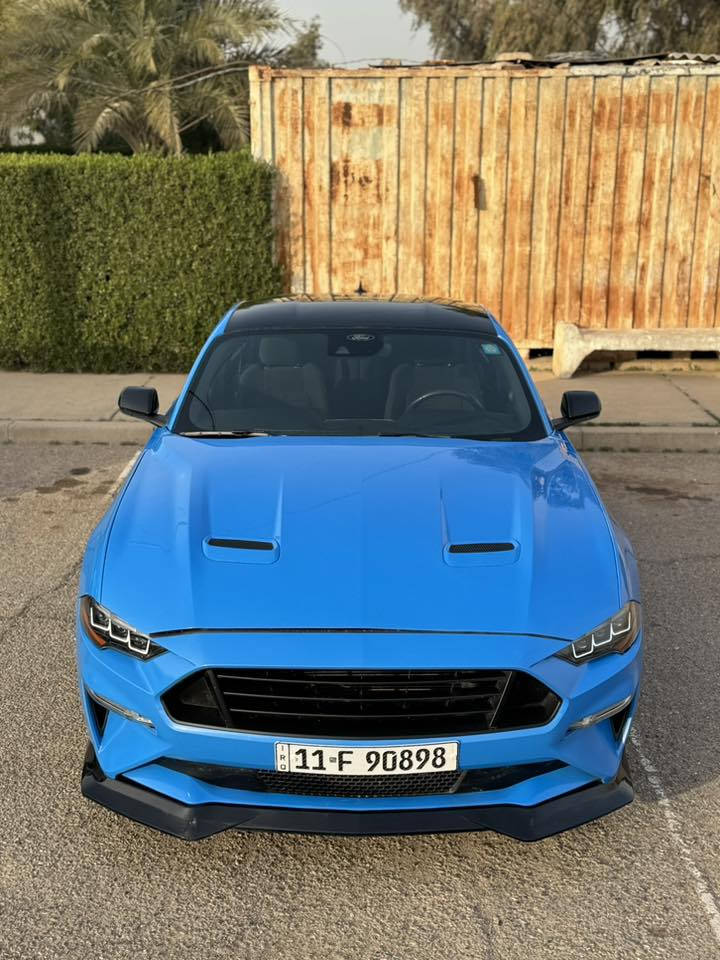 سلام عليكم  موستنك GT نمر 10  للبيع موديل 2023 كير أوتوماتيك لونها ازرق

📍مواصفات السيارة📍

📍ابلاك ادشن سقف بلادي اسود
📍بريموم دشبول ٧ الون 
📍عليها هدزر لونك تيوب امريكان رينسك
📍دبات روش بوابات
H بايب ابلادي 📍
📍شوته ستيدا
📍ماشيه ١٠ الف مايل
📍مازدات 2025
📍رقم بغداد باسمي
📍عنواني صلاح الدين مجمع الدور

حادث جاملغ وبنيد صبغ قطعتين فقط
السعر 
225$ وبيهة مجال
***********
