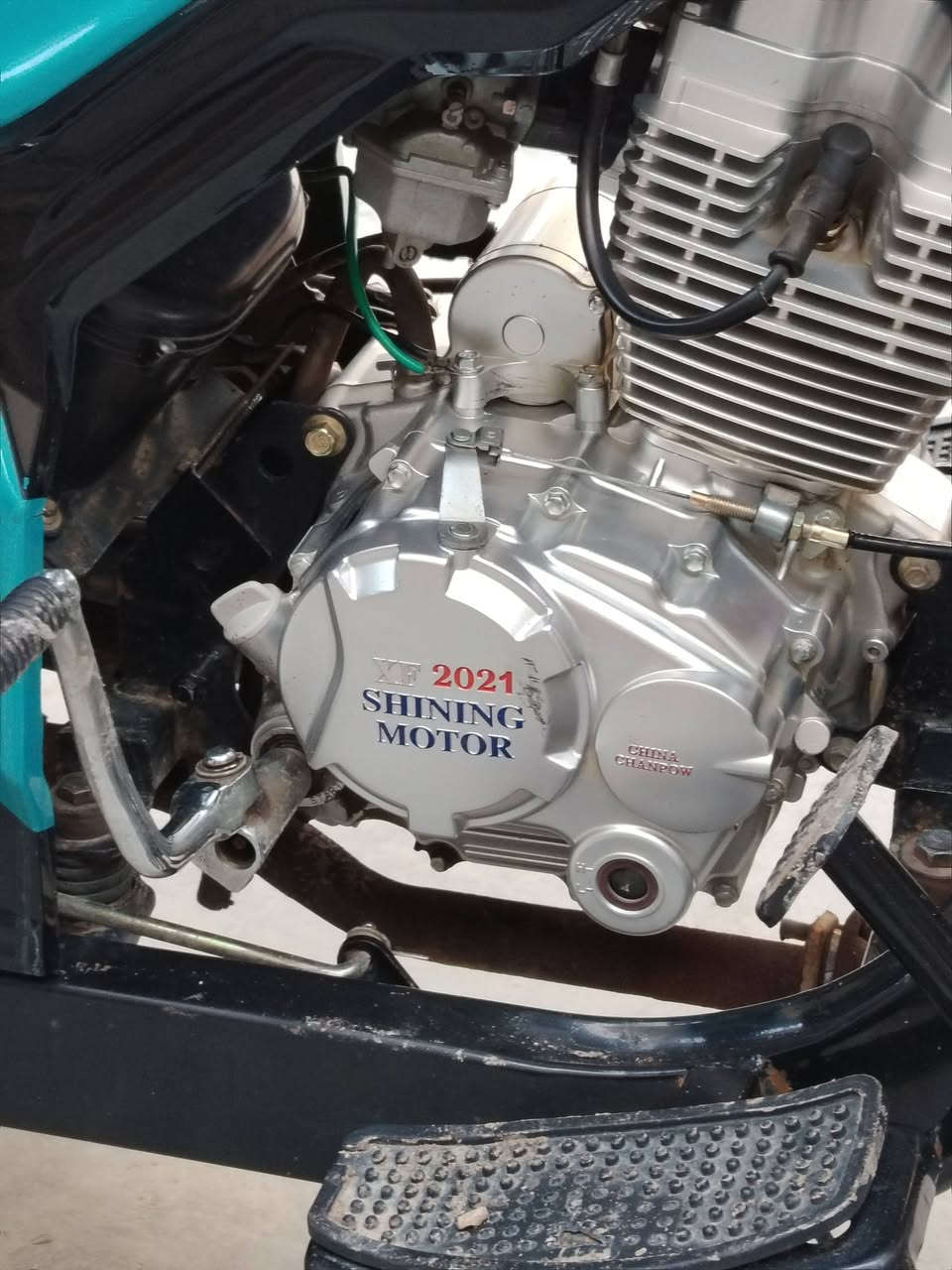 السلام عليكم ستوته 2021  رقم او سنويه مكفوله كفاله عامه 2/750 العنوان بغداد قضاء المحمديه الشراي انتصل او يدلل ***********
