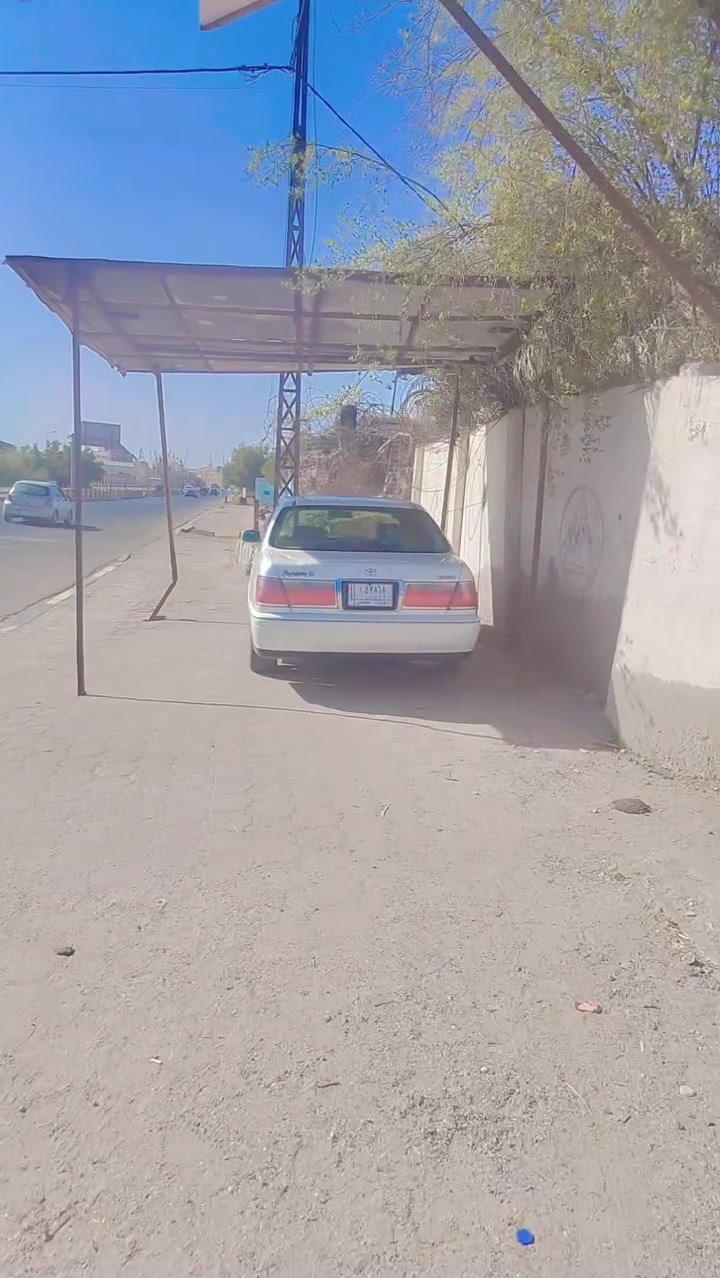 سلام عليكم للبيع مكفول ومفحوص صاعده هزه بس تدفع كمرك الشراي راسلني واتساب سعره 80/////// الشراي  يتصل واكله بلتفاصيل *********** للعلم مكفول لا كصه ولا نقل عنواني بصره جبيله
