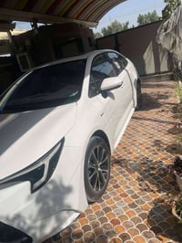 كورلاء هايبرد ٢٠٢٥ رقم بغداد مكفول كفاله عامه فول مواصفات للاستفسار 07...