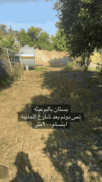 بستان نص دونم ١٢٥٠ متر  واجها :٣٢ م في البوعيثه
***********_***********_***********
