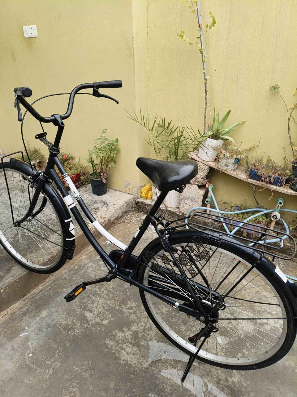 السلام عليكم 
يوجد بايسكل للبيع في بعقوبة الگاطون السعر 110 وبي مجال وهذا رقمي ***********
او تتواصل خاص
