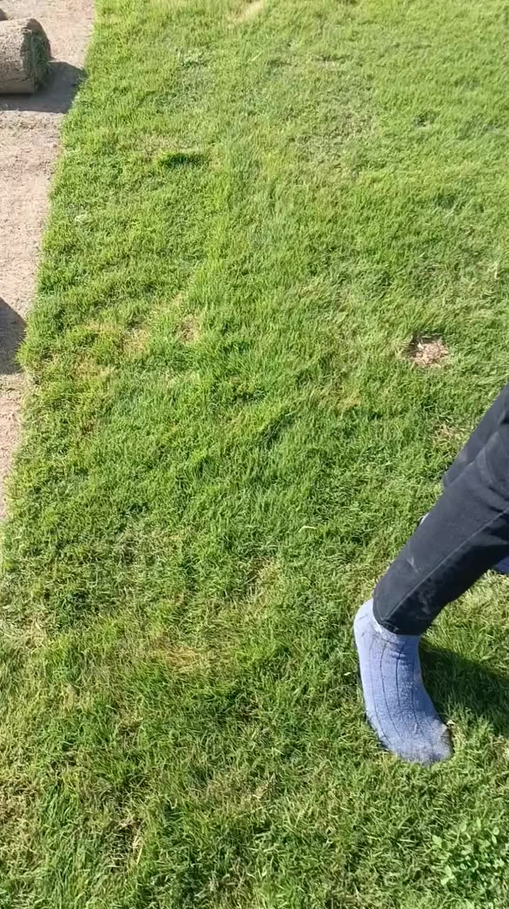 ‬‏يوجد خدمت توصيل لجميع المحافظات ويوجد كادر لتجهيز الحدائق لطلب ولستفتار التصال على الرقم أو مراسلت الصفحه ***********👈***********
