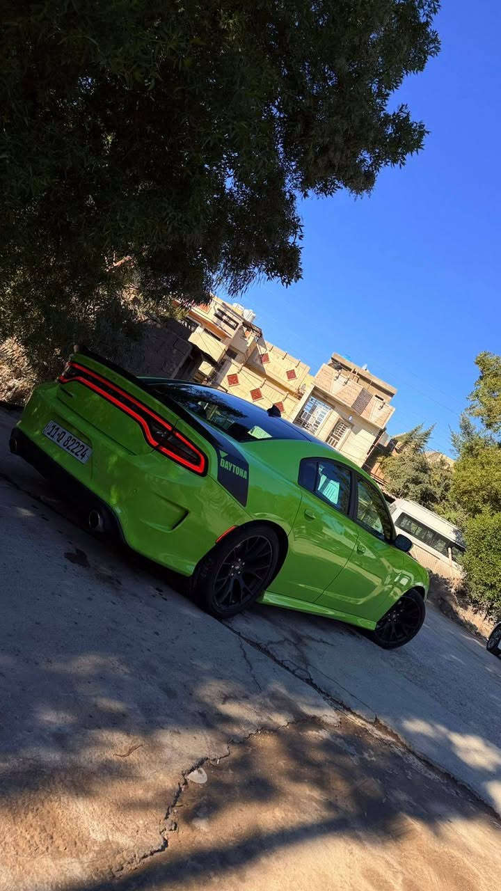 للبيع فقط بدون مراوس
جارجر موديل 2019 دايتونا
رقم بغداد حره الرقم الجديد
مكينه ٥٧٠٠ فوول مواصفات ماعدا الفتحه
رادار أمامي سوبر تراك مواصفات دايتونا
دشبول دبل خيط ابطاين اخياط
السياره جديده كلش ونظيفه مناقصها شي ابد
ماشيه 91mi
الحادث موضح كدامكم بالصور الصبغ بيها جاملغ وبنيد
بدون شاصي سليم
مكان السياره بغداد السيديه
السعر ٢٢٥ ورقه وبيه مجال قليل
***********
