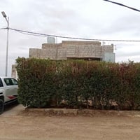 طابو • ٢٠٠م • شارع ٢٥