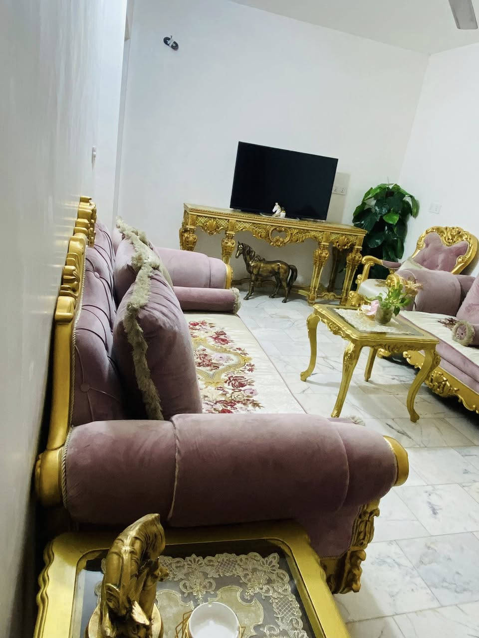 تخم مصري زان ثقيل للبيع مع الميز البلازما والطبلات بسعر مليون ونص نهايته


**إذا كنت صاحب هذا الإعلان وتريد حذفه لأي سبب، رجاءا أرسل رسالة إلى الدعم الفني**