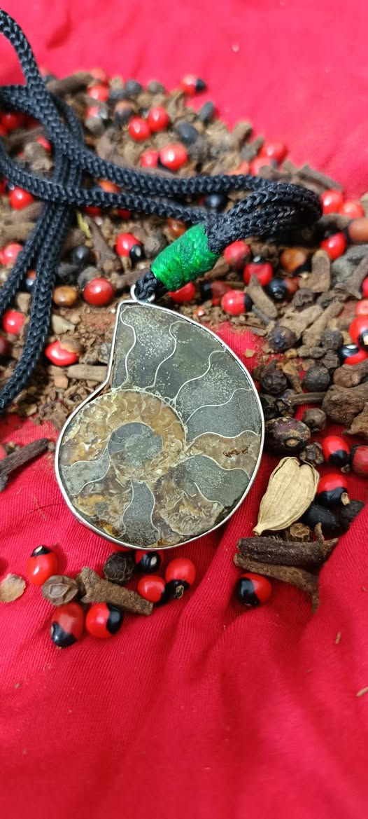 قلاده من المرجان الخام الاصلي ذمه


**إذا كنت صاحب هذا الإعلان وتريد حذفه لأي سبب، رجاءا أرسل رسالة إلى الدعم الفني**