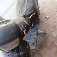 دراجه بطه للبيع على هاي الحطه تشتغل مابيه شي رقمي 07754346948 الخاص مف...