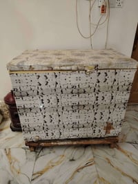 مجمدة • حجم كبير • تجمد فول