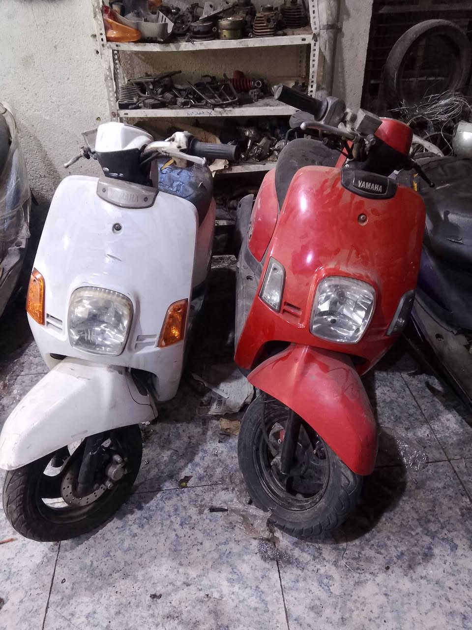 يالله عروض راس السنه معرض (عادل حاشوش) ماكس منغولي 850،،اكزز سلفر 1250،،ماكس بوليسي 950،،،منغولي 1100مده العرض 2يوم سارعو قبل ليخلص  الحاويه كفاله ***********
