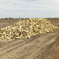 معمل • الشوملي • الرواس