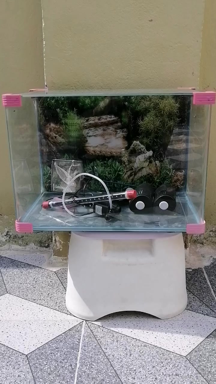 السلام عليكم ورحمة الله وبركاته
متاح حوض أسماك زينه مع كامل الملحقات ماطور وشمعة....
القياس مالته الطول نص متر ٥٠ س والارتفاع ٣٦س والعرض ٣٠س
ال يريده يراسلني وبي خير ويدلل


**إذا كنت صاحب هذا الإعلان وتريد حذفه لأي سبب، رجاءا أرسل رسالة إلى الدعم الفني**